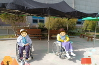 일상생활프로그램-산책하기(2023.04.13)