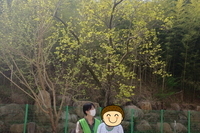일상생활프로그램-산책하기(2025.04.18)